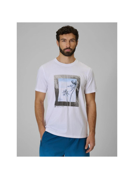 Men's regular printed T-shirt 4F 4FWSS26TTSHM3034-10S (322784)
