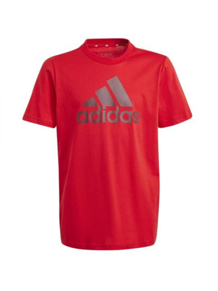 T-shirt adidas Big Logo Tee Jr IJ6262 (177915)