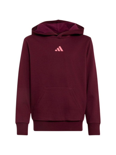 adidas Essentials Hoodie for kids, burgundy KT3380 (360411)