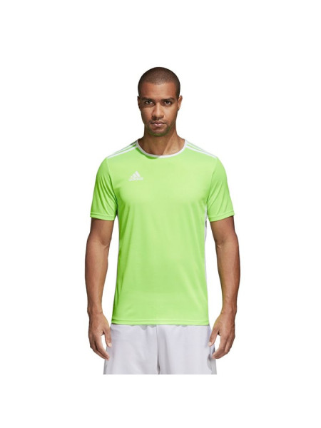 Adidas Entrada 18 CE9758 football jersey (46455)