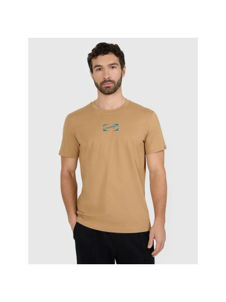 Men's regular printed T-shirt 4F 4FRAW25TTSHM3377-83S (311942)