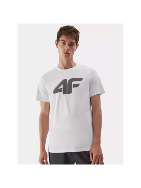 T-shirt 4F M 4FAW23TTSHM0877-10S (178341)