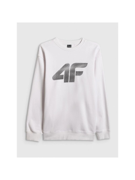 Men's sweatshirt without zipper and hood 4F 4FRAW25TSWSM2493-10S (257054)