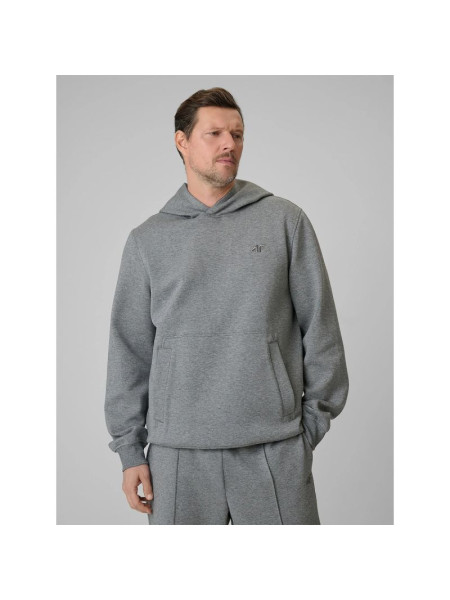 Men's regular hooded sweatshirt 4F 4FRSS26TSWSM2793-24M (316884)