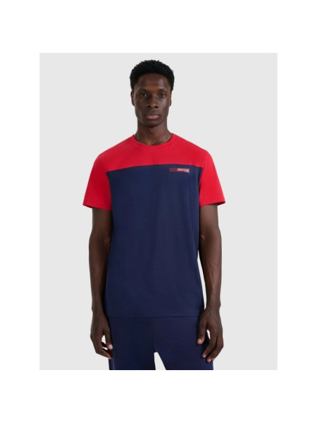 Men's regular printed T-shirt 4F 4FRAW25TTSHM3292-31S (260657)