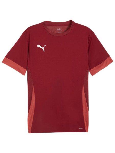 Puma teamGoal Matchday Jersey men's burgundy 705747 09 (231049)