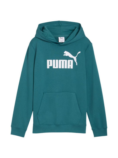 Puma ESS No. 1 Logo Hoodie for Kids Green 684909 41 (279434)