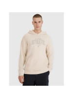 Men's sweatshirt with hood, open, 4F 4FRSS25TSWSM2201-12S (260639)