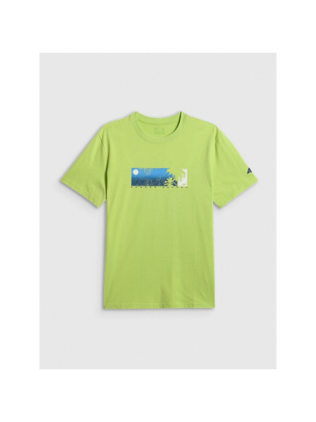 Men's regular printed T-shirt 4F 4FWSS26TTSHM3335-42S (332461)