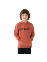 4F M1223 Jr sweatshirt 4FJWAW24TSWSM1223-64S (218813)