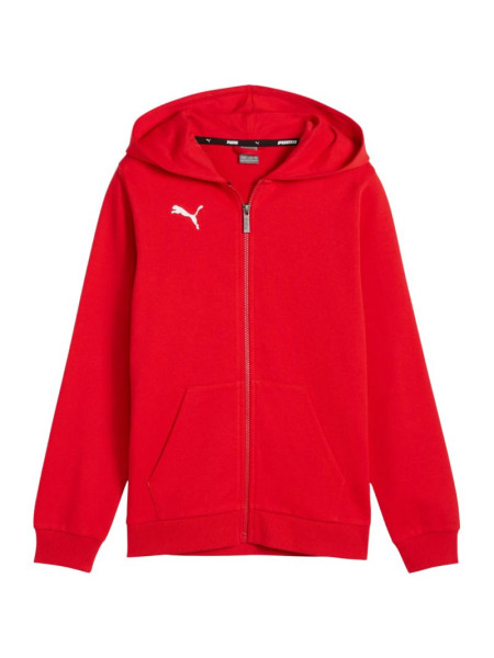 Puma teamGoal Casuals Hooded kids' sweatshirt red 658596 01 (243954)