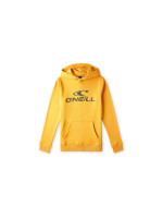 O'Neill Logo Hoodie Jr 92800615006 (196324)