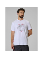 Men's regular printed T-shirt 4F 4FRSS26TTSHM4039-10S (337722)
