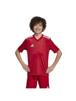 adidas Team Icon 25 Jr T-shirt JM8362 (214468)