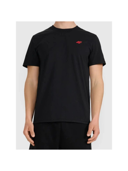 Regular men's T-shirt 4F 4FWMM00TTSHM3341-020S (355631)