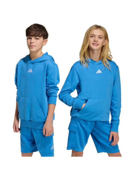 adidas Essentials Hoodie for kids blue KD3382 (312331)