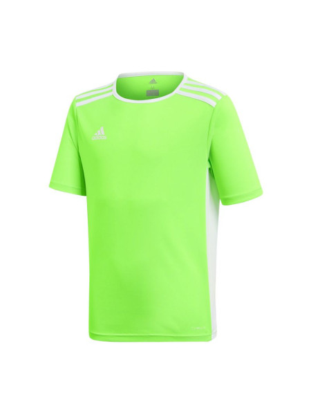 T-shirt adidas Entrada 18 Jr CE9755 (55522)