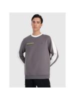 Men's sweatshirt without zipper, without hood, 4F 4FRAW25TSWSM2457-23S (260674)