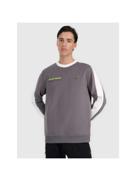 Men's sweatshirt without zipper, without hood, 4F 4FRAW25TSWSM2457-23S (260674)
