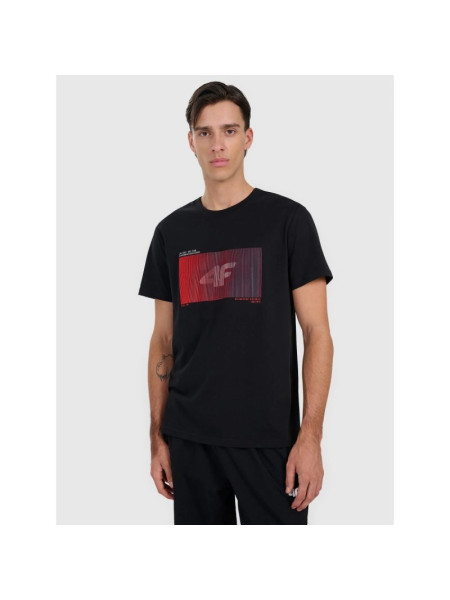 Men's regular printed T-shirt 4F 4FRAW25TTSHM3224-20S (260655)