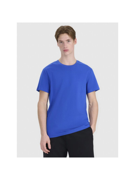 Men's regular printed T-shirt 4F 4FWSS25TTSHM2239-36S (240423)