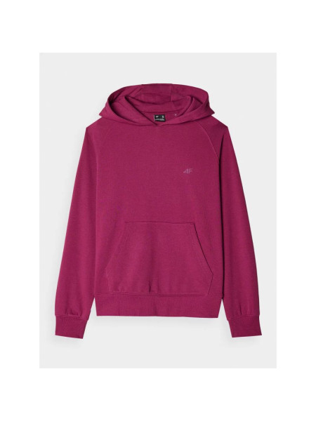 Sweatshirt 4F W 4FWMM00TSWSF1468-51S (203789)