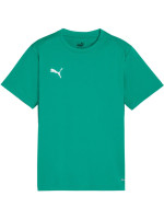 Puma TeamGoal Jersey for kids green 658637 05 (246272)