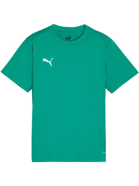 Puma TeamGoal Jersey for kids green 658637 05 (246272)