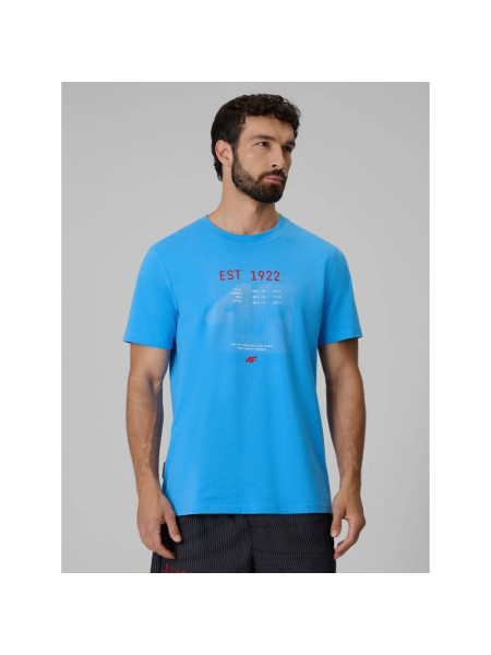 Men's regular printed T-shirt 4F 4FRSS26TTSHM4039-33S (337724)