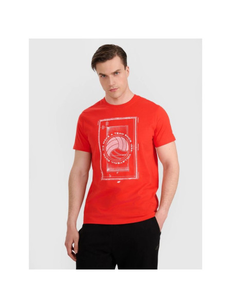 Men's regular t-shirt with volleyball print 4F 4FRAW25TTSHM3236-62S (268693)