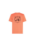 O'Neill Mix & Match Wave T-Shirt M 92800613917 (197470)