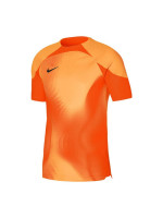 Nike Dri-FIT ADV Gardien 4 M DH7760-819 goalkeeper jersey (94048)
