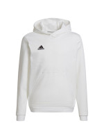 Sweatshirt adidas Entrada 22 Hoody Jr HG6303 (92430)