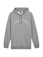 Puma Ess+ Logo LAB Gradient Hoodie FL M 681775 03 (202042)