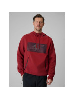 Men's regular hooded sweatshirt 4F 4FRSS26TSWSM2975-20S (318739)