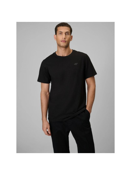 Men's regular plain T-shirt 4F 4FRMM00TTSHM4192-20S (311982)