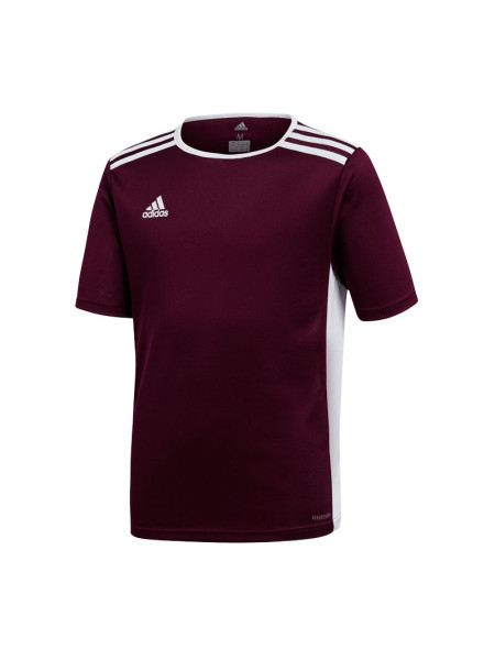 T-shirt adidas Entrada 18 Jr CE9564 (55524)
