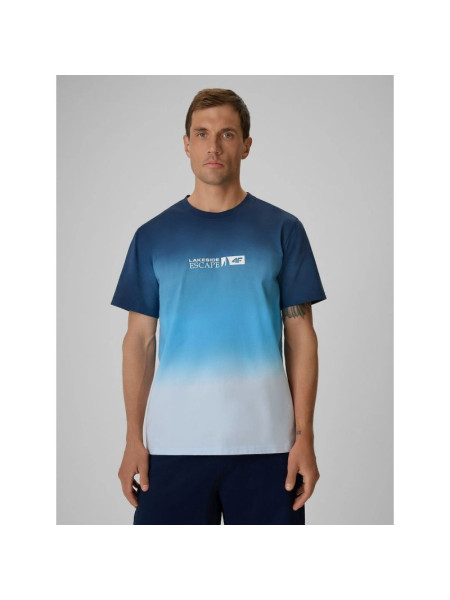 Men's regular printed T-shirt 4F 4FRSS26TTSHM3995-31S (332484)