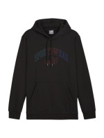 Puma Ess+ Logo LAB Gradient Hoodie FL M 681775 01 (202040)