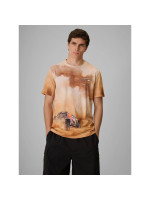Men's regular printed T-shirt 4F 4FRSS26TTSHM4237-83A (366288)