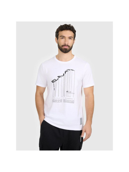 Men's regular printed T-shirt 4F 4FRAW25TTSHM3845-10S (289635)