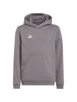 Sweatshirt adidas Entrada 22 Hoody Jr H57515 (92422)
