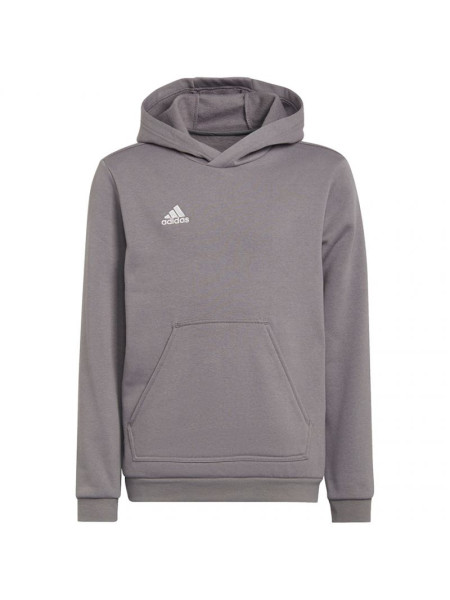 Sweatshirt adidas Entrada 22 Hoody Jr H57515 (92422)
