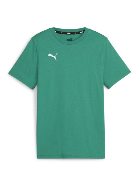 Puma Team Goal Casuals Tee Jr 658616 05 (231163)