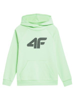 Sweatshirt 4F Jr. 4FJSS23TSWSM220 42S (119447)