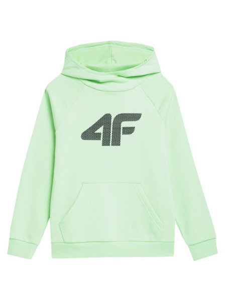 Sweatshirt 4F Jr. 4FJSS23TSWSM220 42S (119447)
