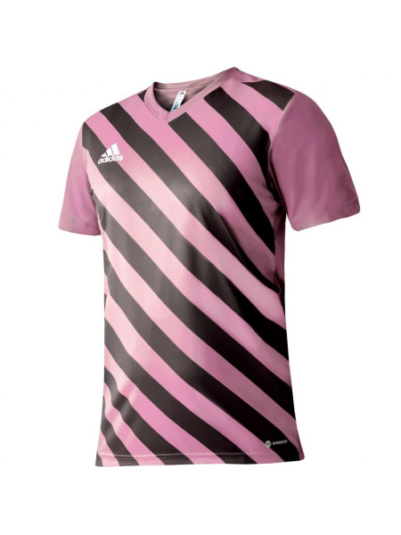 Adidas Entrada 22 Graphic Jersey Jr HC2632 (97154)