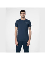T-shirt 4F M 4FSS23TTSHM299 31S (121365)