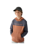 4F M1222 Jr sweatshirt 4FJWAW24TSWSM1222-65S (219403)