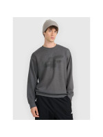 Men's sweatshirt without zipper, without hood, 4F 4FRMM00TSWSM2479-23M (311970)